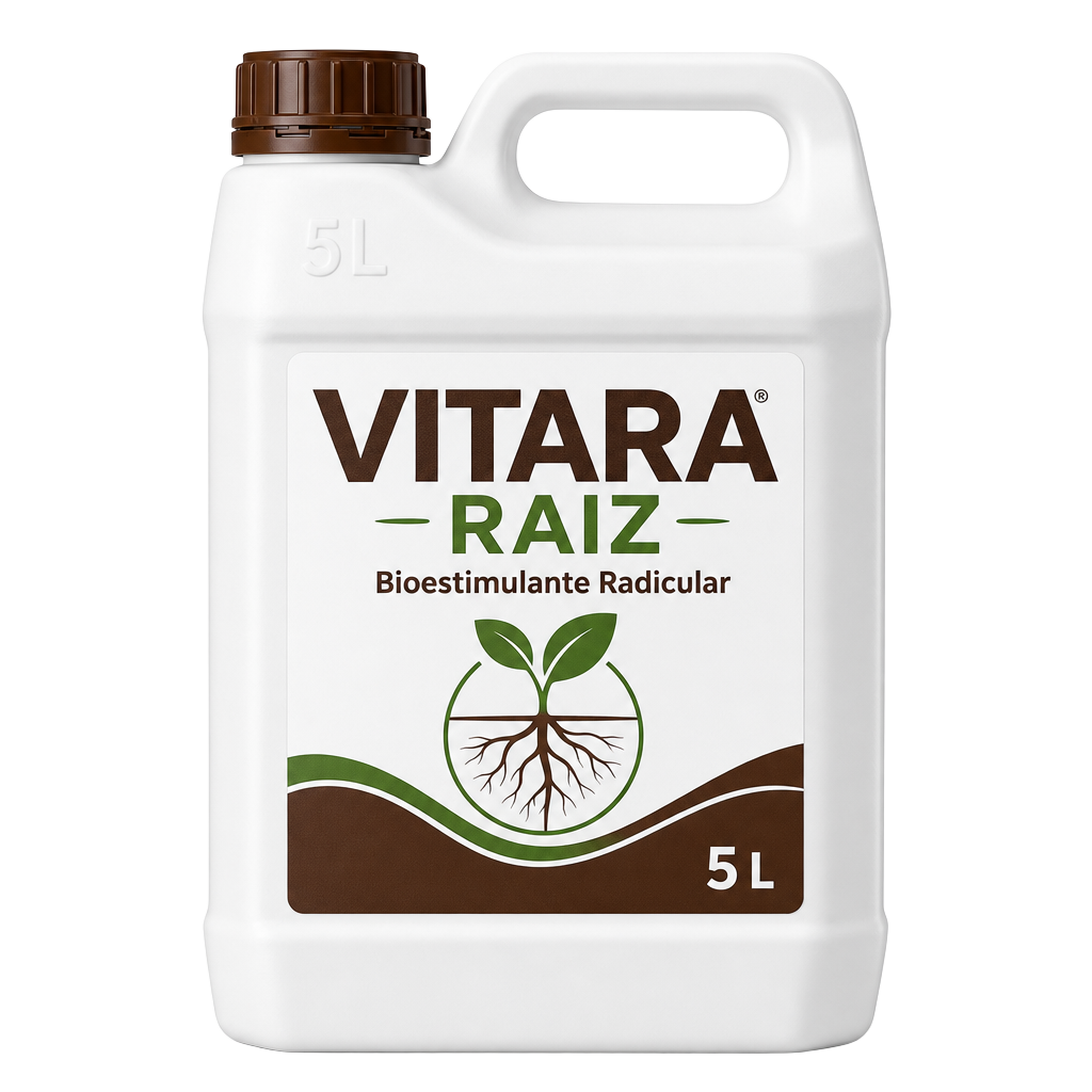 Galão VITARA RAIZ